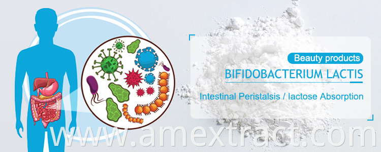 Bifidobacterium lactis powder banner